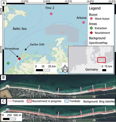 Evolution of beach profiles at the German Baltic Sea during and after large-scale beach nourishment: bar formation and sand redistribution